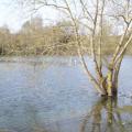 Les pieds dans l'eau