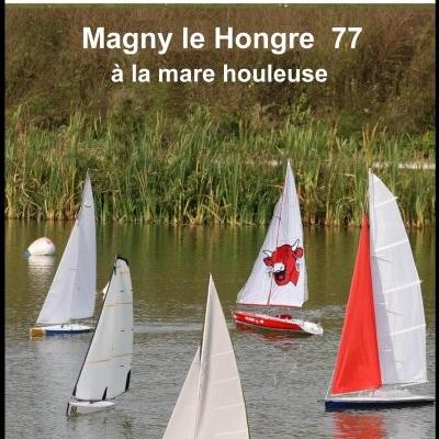 Régates de Voiliers Loisirs à Magny le Hongre - (Juin 2024).