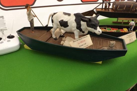 Plate du marais Poitevin la 