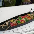 Un barque à cornet des Hortillonnages d'Amiens