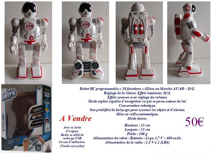 Robot rc programmable